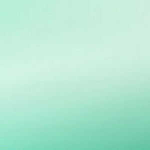 Meet your Posher, Qin